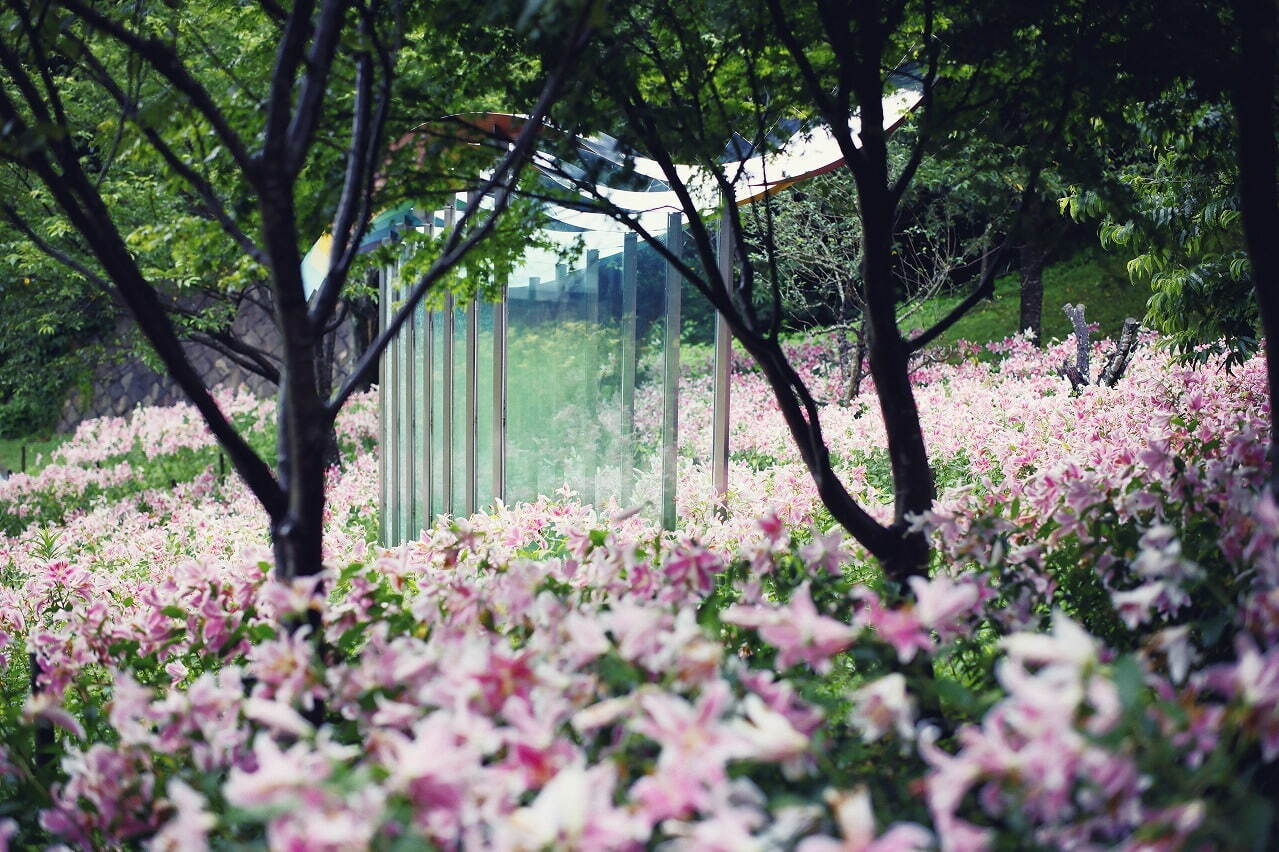 神戸布引ハーブ園「ユリ」が見頃に、約1万球のユリが花咲く爽やかな香りのフラワーイベント｜写真8