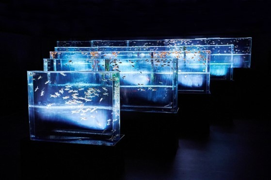 金魚アートの「アートアクアリウム美術館 GINZA」で夏イベント、風鈴トンネルや清涼感UP金魚の滝｜写真1