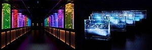 金魚アートの「アートアクアリウム美術館 GINZA」で夏イベント、風鈴トンネルや清涼感UP金魚の滝｜写真6