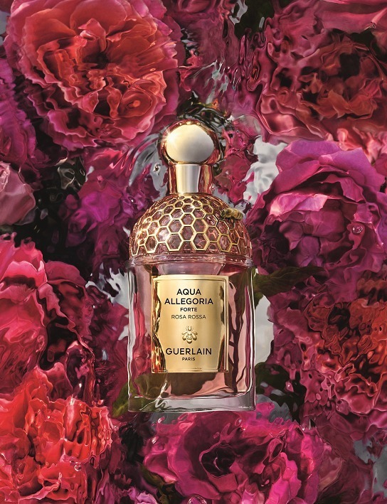 【国内正規品】GUERLAIN アクアアレゴリアフォルテ マンダリンバジリック