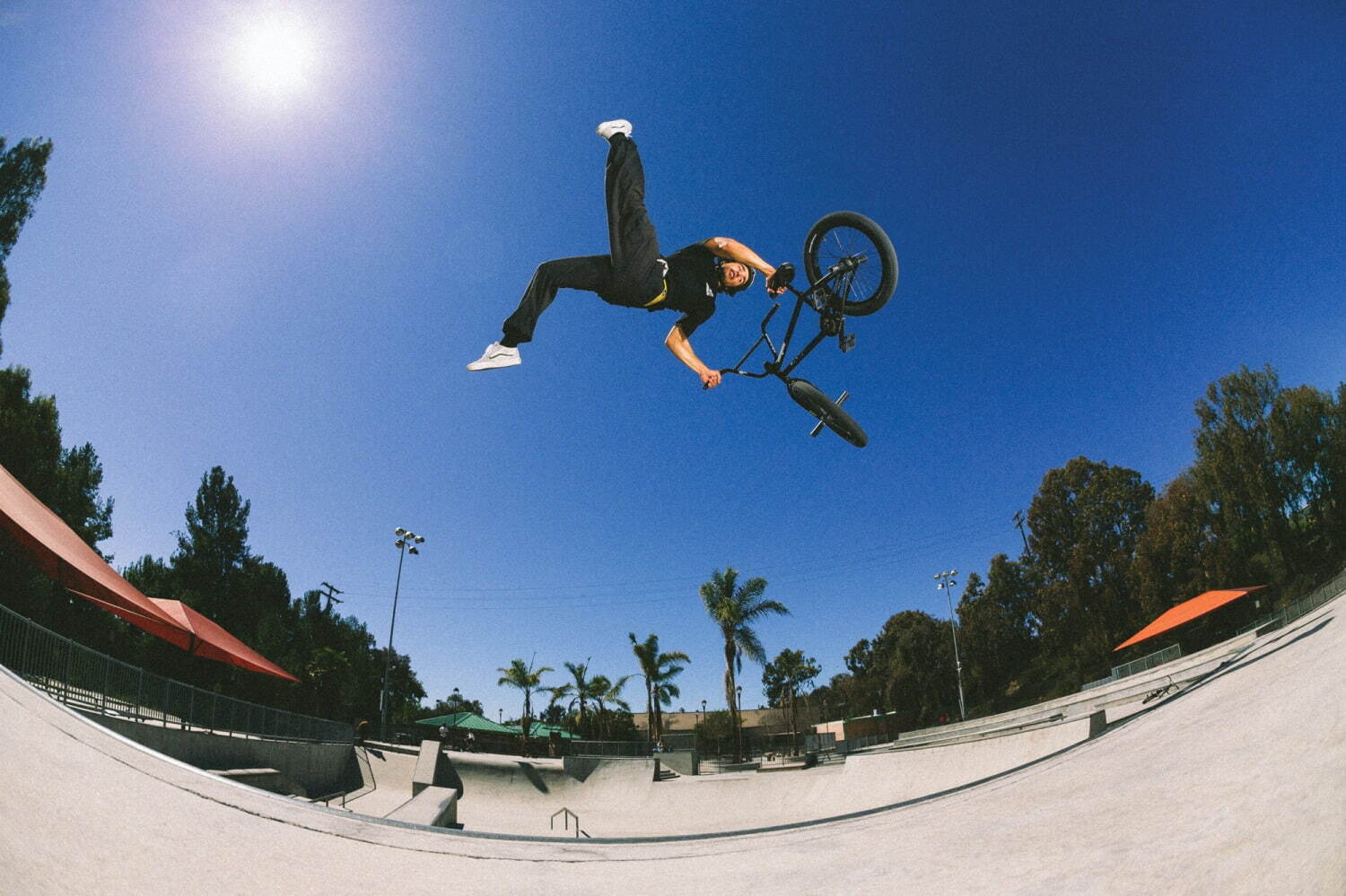 ヴァンズ(Vans) BMX スタイル 114｜写真55