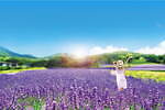 “関東最大級”約5万株のラベンダーが咲く「たんばらラベンダーパーク」群馬有数の避暑スポット｜写真1