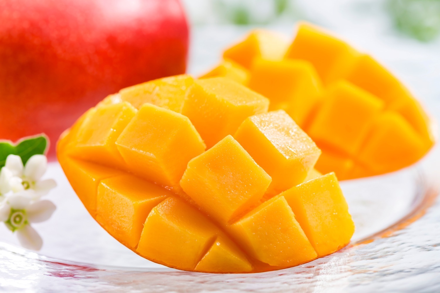 全国のスイーツパラダイスで高級フルーツ食べ放題、沖縄・宮古島マンゴーやまるごと山梨の桃