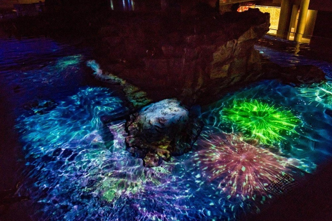 水族館｜すみだ水族館「夏の夜すい」“夜の水族館”で楽しむプロジェクションマッピング「ペンギン花火」