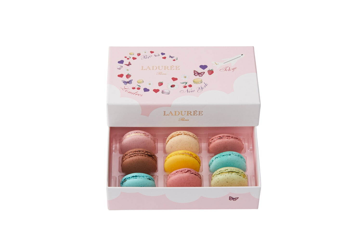 ビアンヴニュ！ローズ
9個入 4,536円