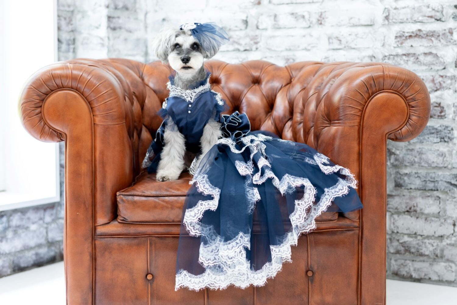 写真｜「犬用オーダーメイドドレス」が南青山・人気ドレスサロンから、花嫁と同じ高級生地＆ロングスカートで