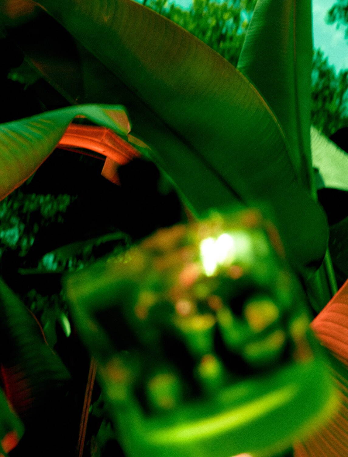 英国発「バイラオ」フレグランス日本初上陸、パフューマー Hの調香師×ヒーラーが贈る"お守り香水”｜写真9