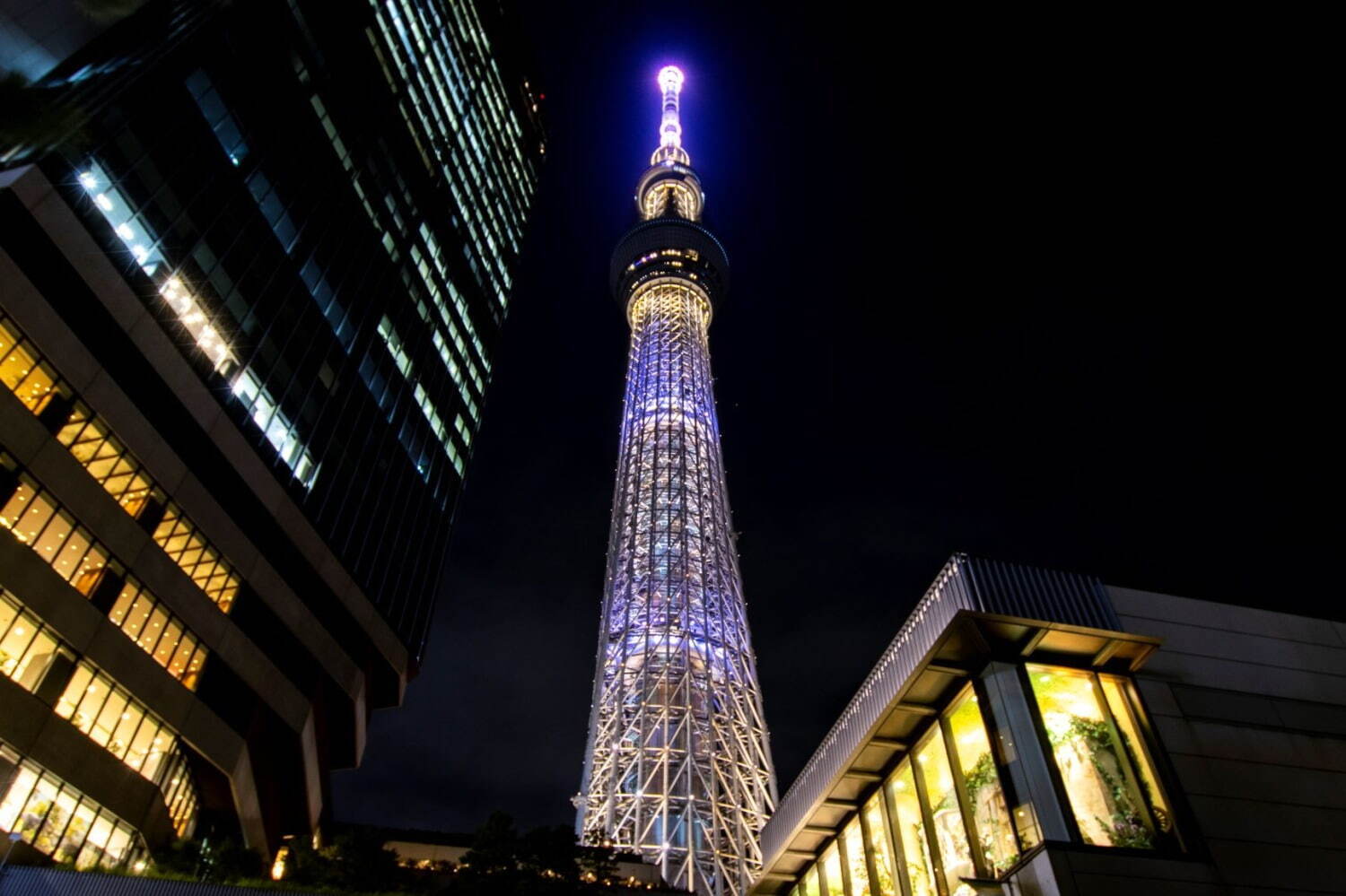 「しだれ花火」をイメージした演出
ⓒTOKYO-SKYTREE