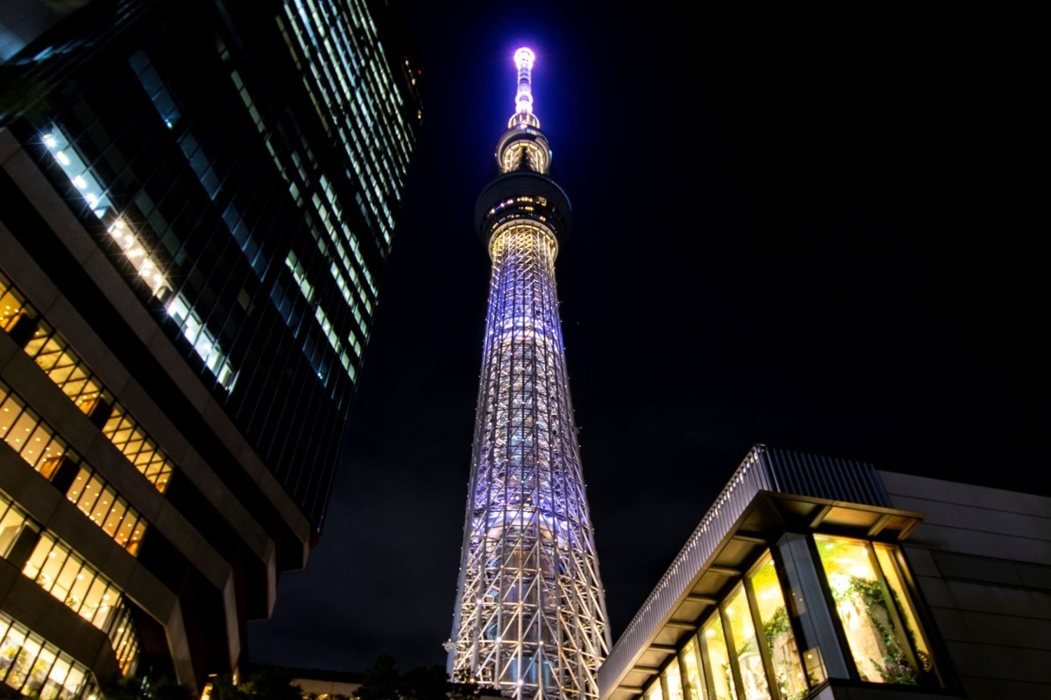 水族館｜東京スカイツリータウンの夏イベント、“花火”イメージの特別ライティング＆プラネタリウム