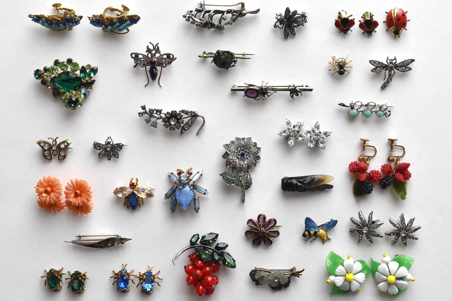 代官山 T-SITE「虫とボタニカル」