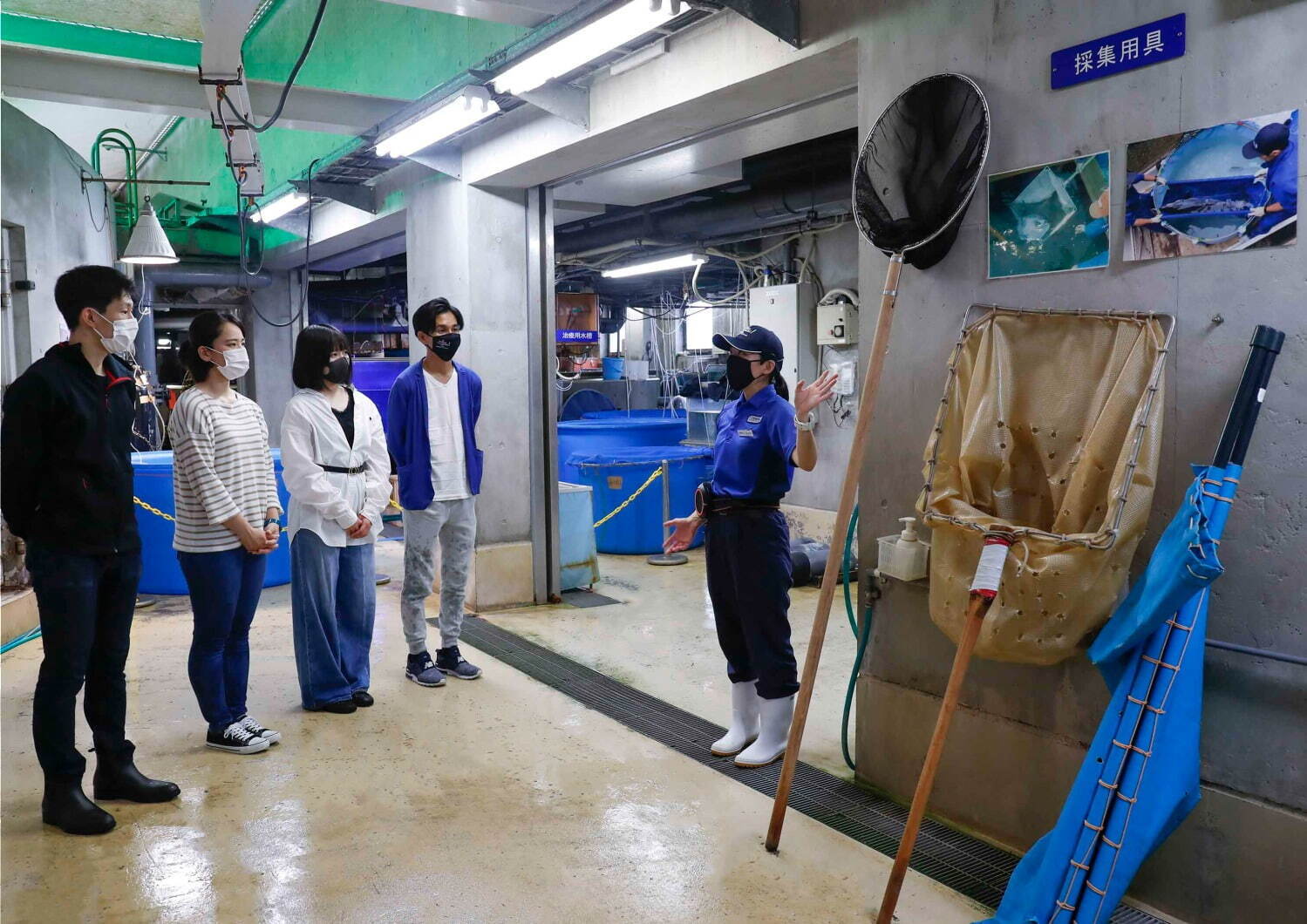 鴨川シーワールド「水族館探検プラン」裏方見学＆海の動物たちの“寝姿”観察、夜の水族館を貸し切りに｜写真4