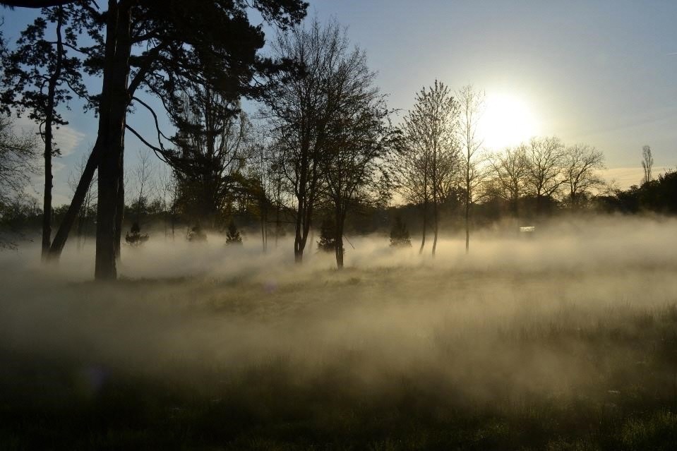 《立ち雲》雲インスタレーション #07240
グゥアル公園、ショーモンシュルロワール(フランス)　2013年
Photo by Eric Dufour