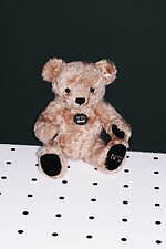 N21”ロゴトート”付きスキンケアキットなど名古屋初上陸、シュタイフとのコラボテディベアも｜写真5