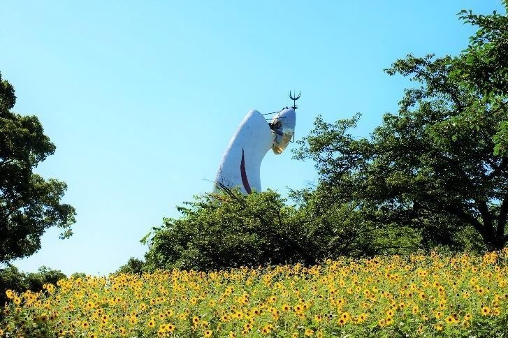 庭園｜大阪「万博記念公園 ひまわりフェスタ」約1万2千本が咲き誇る“絶景”スポット、キッチンカーも