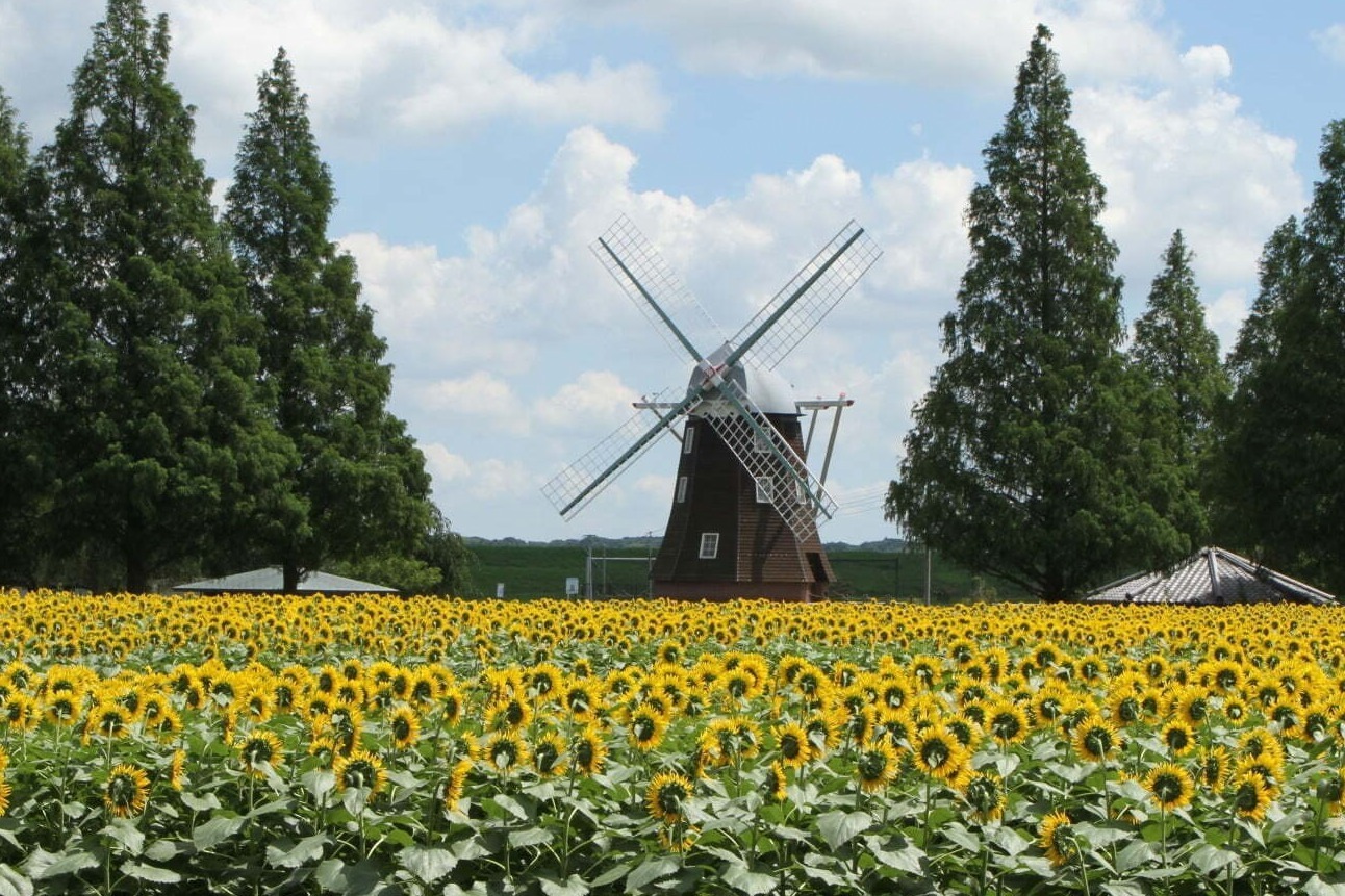 あけぼの山農業公園: 2022年7月16日〜2022年8月31日開催