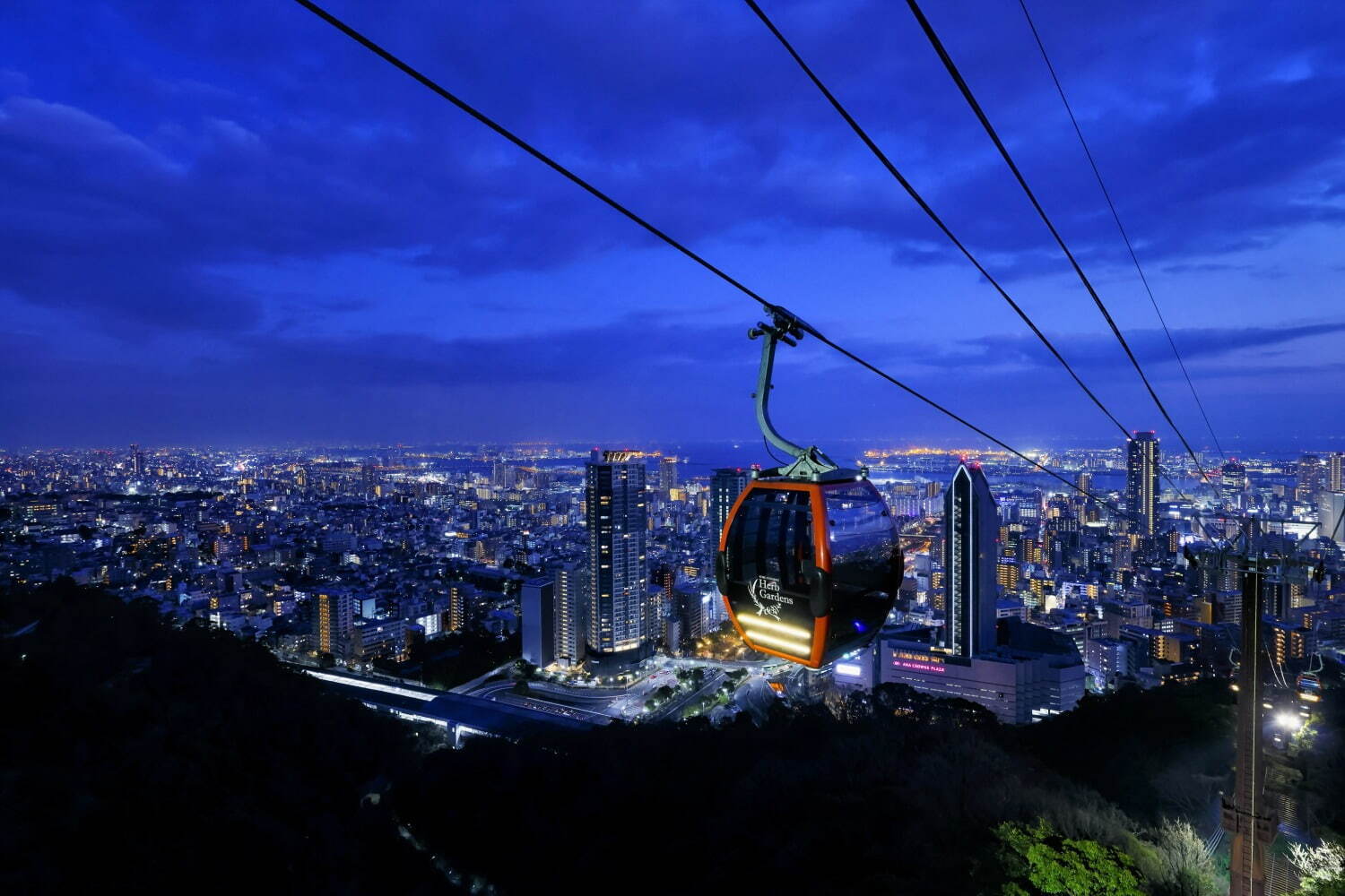 ロープウェイからの夜景