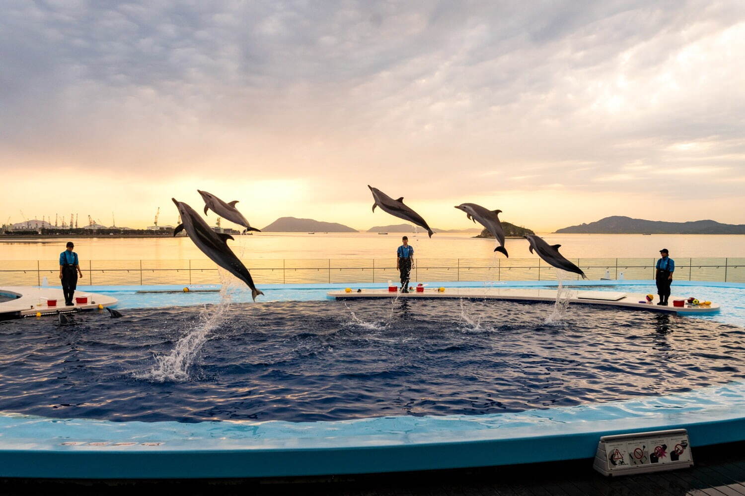 香川・四国水族館”幻想的な夜の水族館”イベント、夕日背景のイルカショーやビアガーデンも｜写真1