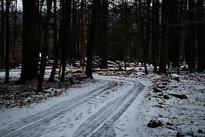 サヤカ デイヴィス(SAYAKA DAVIS) 2022-23年秋冬ウィメンズコレクション  - 写真16