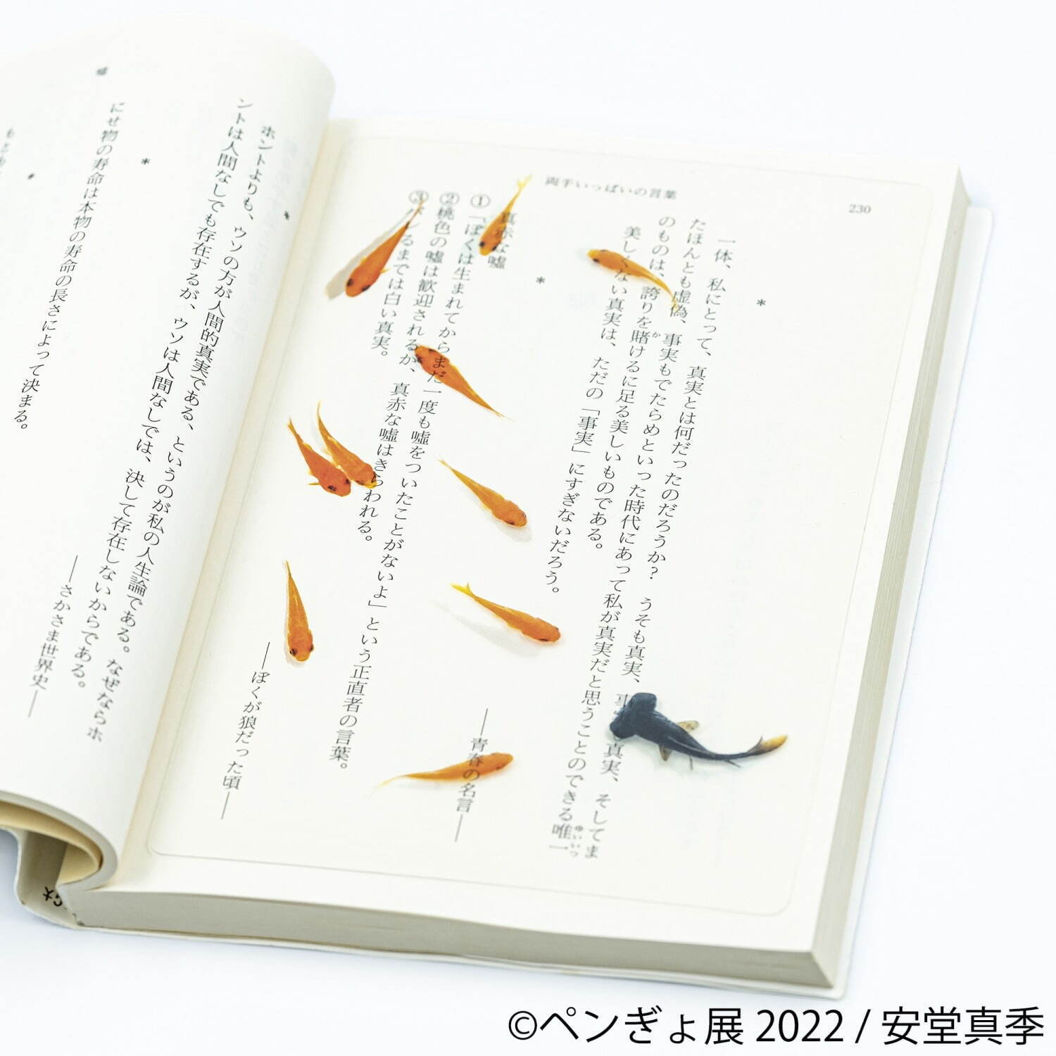 「ペンぎょ展 2022」”ペンギン＆金魚”主役の写真展が福岡初上陸、限定グッズも｜写真16