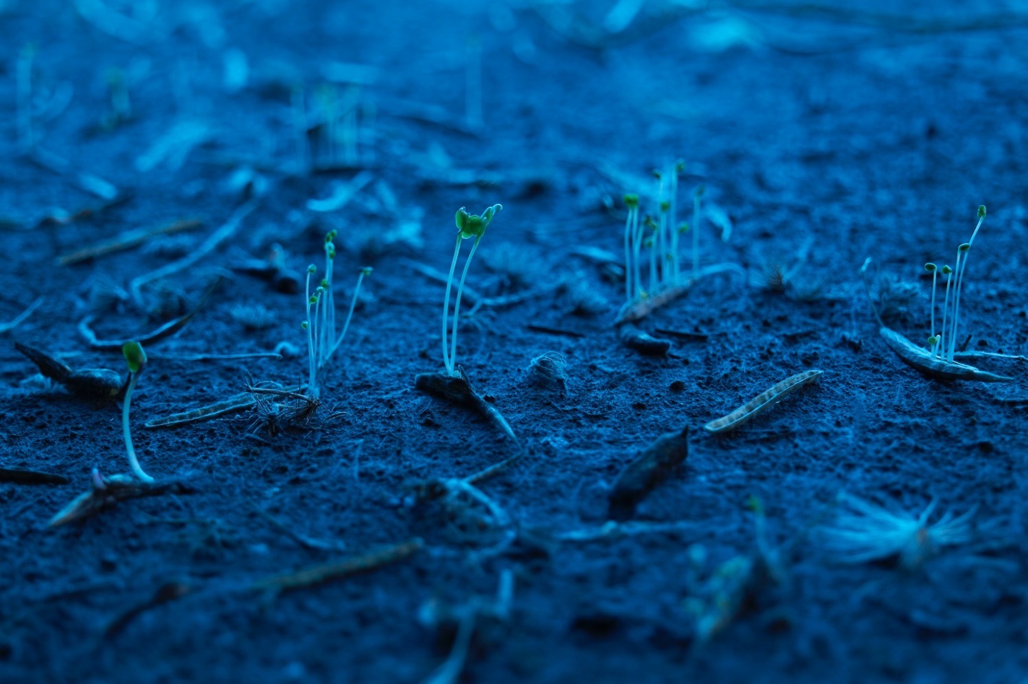 環境芸術家・八木マリヨと現代美術家・八木夕菜の二人展が銀座で、生命や地球の表情に着目した新作を発表