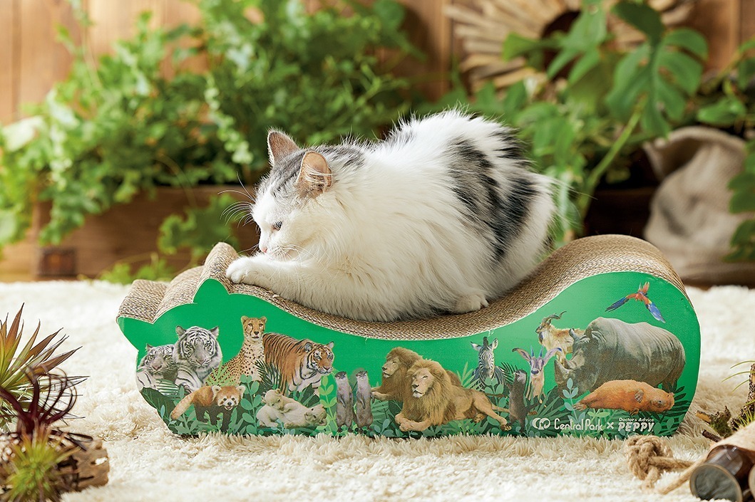 動物園｜サファリの動物たちがペット用品に？！“チーターと添い寝”できるクッション＆サファリ柄の爪とぎ