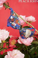 ピーチ・ジョン(PEACH JOHN) 巨匠のブラ｜写真3