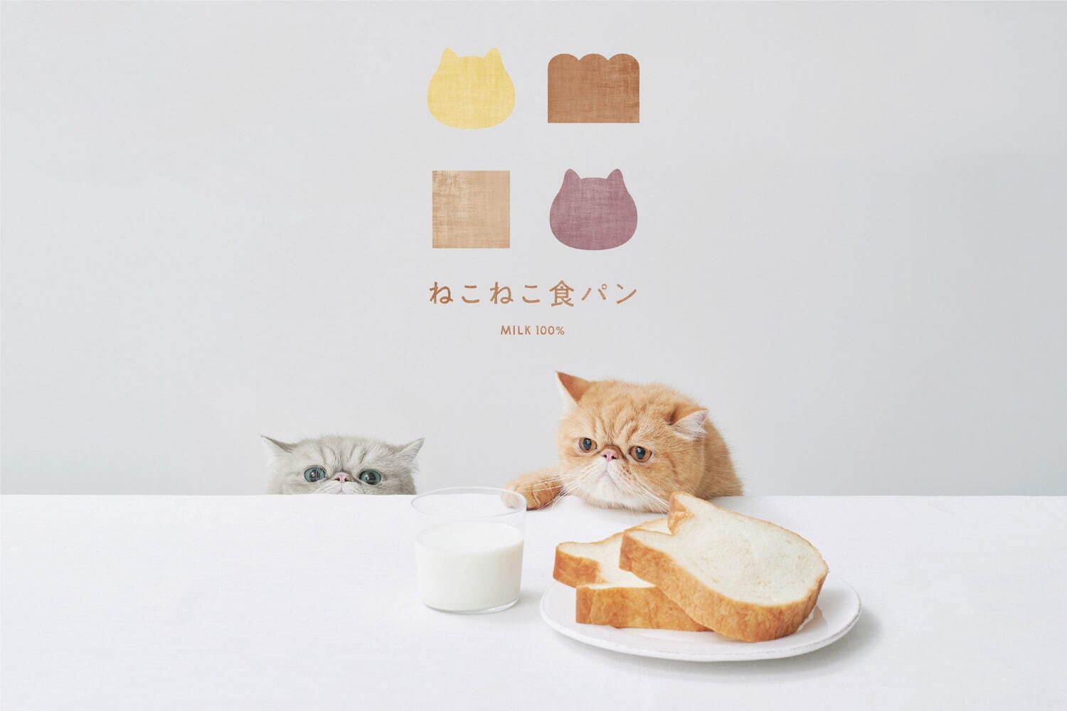 ねこねこ(NEKO NEKO) ねこねこ食パン スイートポテト｜写真5