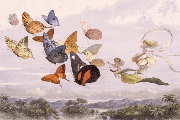 ウィリアム・モリス｜企画展「理想の書物」群馬県立近代美術館で、19世紀英国の挿絵本やプライヴェート・プレスの書物を紹介