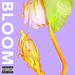 SANABAGUN. BLOOM 37.5℃｜写真2