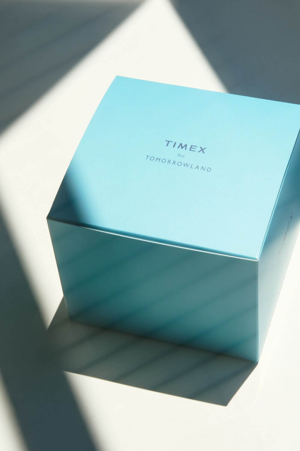 タイメックス(TIMEX) キャンパー｜写真5