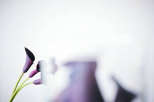 マリリンムーン(MARILYN MOON) 2022-23年秋冬ウィメンズコレクション  - 写真24