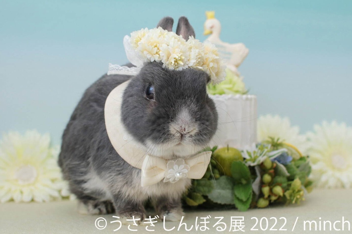 「うさぎしんぼる展 2022」東京＆名古屋で、”過去最大規模”うさぎ写真＆限定グッズ販売も