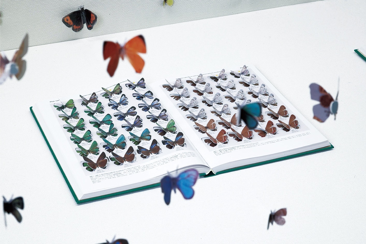 熊本市現代美術館「PAPER：かみと現代美術」