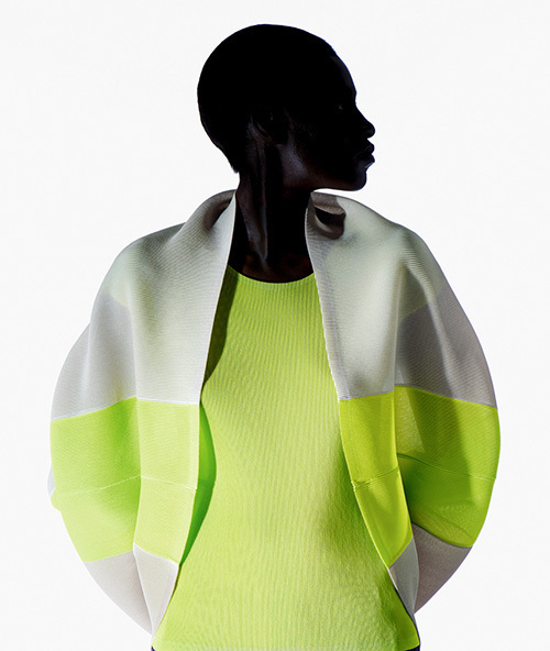 プリーツ プリーズ イッセイ ミヤケ(PLEATS PLEASE ISSEY MIYAKE) 2014年春夏ウィメンズコレクション ディテール - 写真16