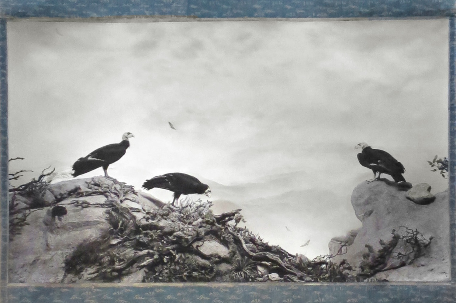 杉本博司｜杉本博司の“本歌取り”に着目した展覧会が姫路市立美術館で、杉本作品と「本歌」となった作品を同時公開