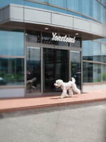 コーヘン(COOHEM), ディスイズアセーター(THIS IS A SWEATER.) 米富繊維｜写真3