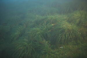 マスターピース(master-piece) 2022-23年秋冬ウィメンズコレクション  - 写真5