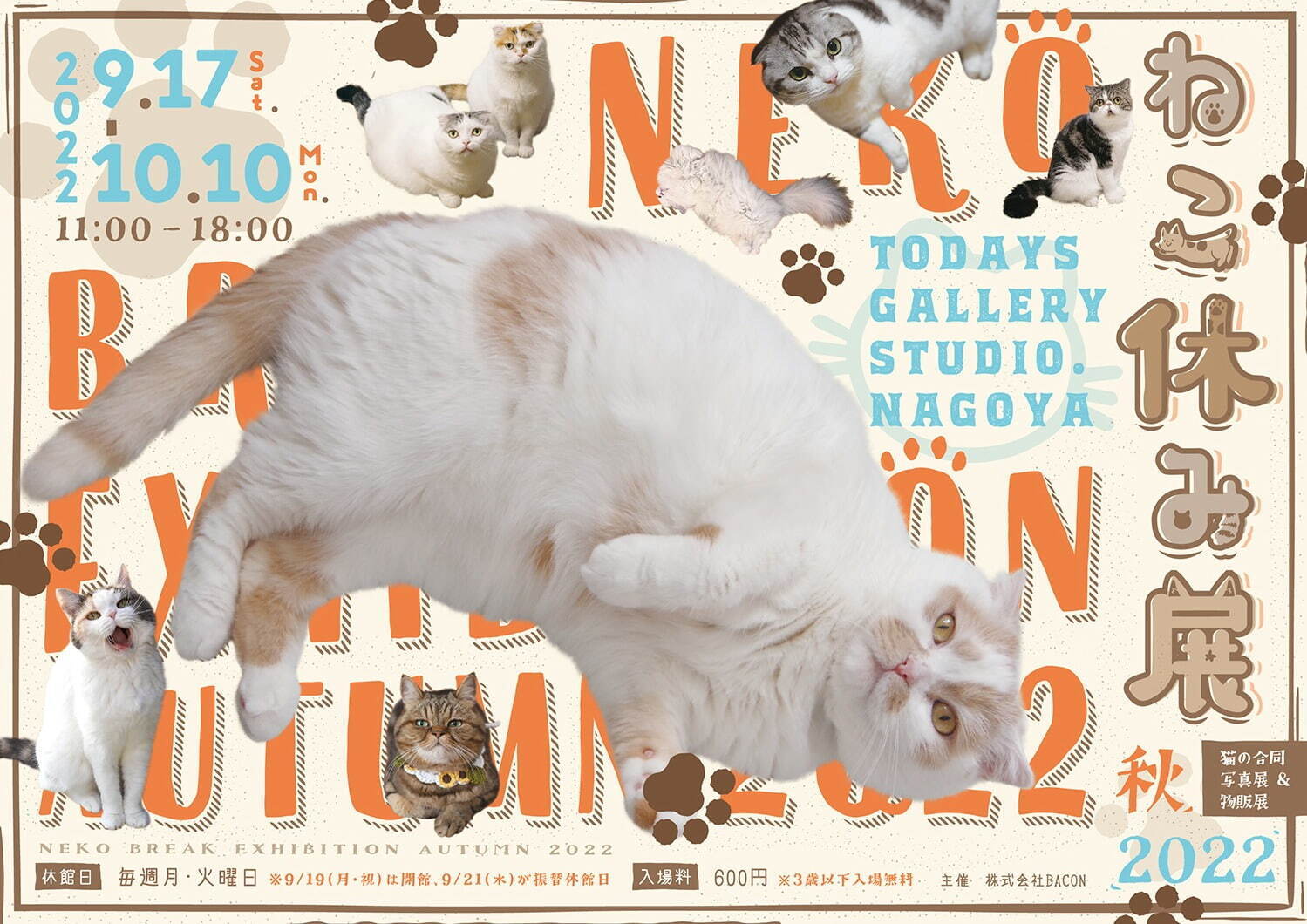 ねこの合同写真展＆物販展「ねこ休み展 秋 2022」名古屋で、スター猫の癒し写真＆限定グッズも｜写真20