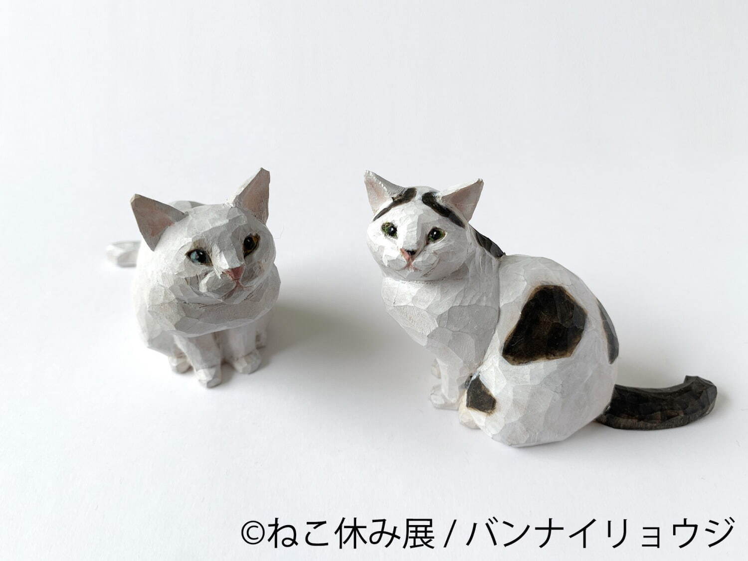 ねこの合同写真展＆物販展「ねこ休み展 秋 2022」名古屋で、スター猫の癒し写真＆限定グッズも｜写真17