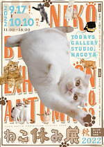 ねこの合同写真展＆物販展「ねこ休み展 秋 2022」名古屋で、スター猫の癒し写真＆限定グッズも｜写真19
