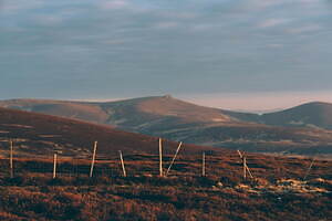 グラミチ(GRAMICCI) 2022-23年秋冬ウィメンズ&メンズコレクション  - 写真16