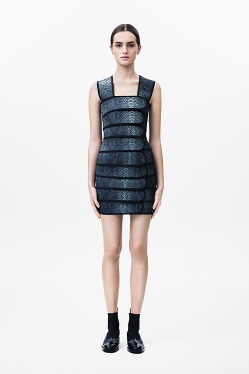 クリストファー ケイン(Christopher Kane) 2014年プレフォールウィメンズコレクション  - 写真4