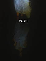 ペイエン 2023年春夏コレクション - ギャツビーは緑の灯を信じていた｜写真3