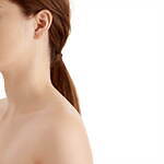 シハラ(SHIHARA) シハラ トウキョウ｜写真20