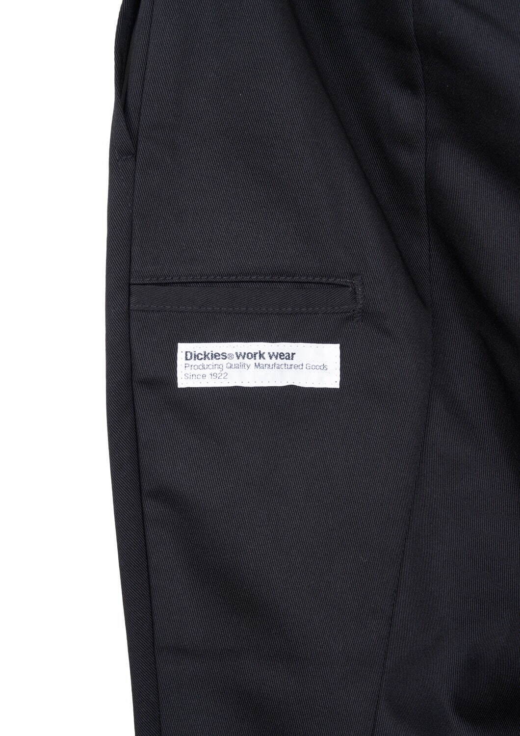 ディッキーズ(Dickies), タイガリオナ(TAIGALIONA) 874｜写真9