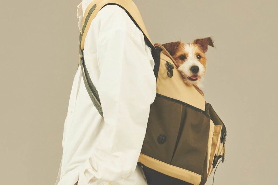 マスターピースのペットグッズ、ナチュラルカラーの首輪・リード・キャリーバッグなど