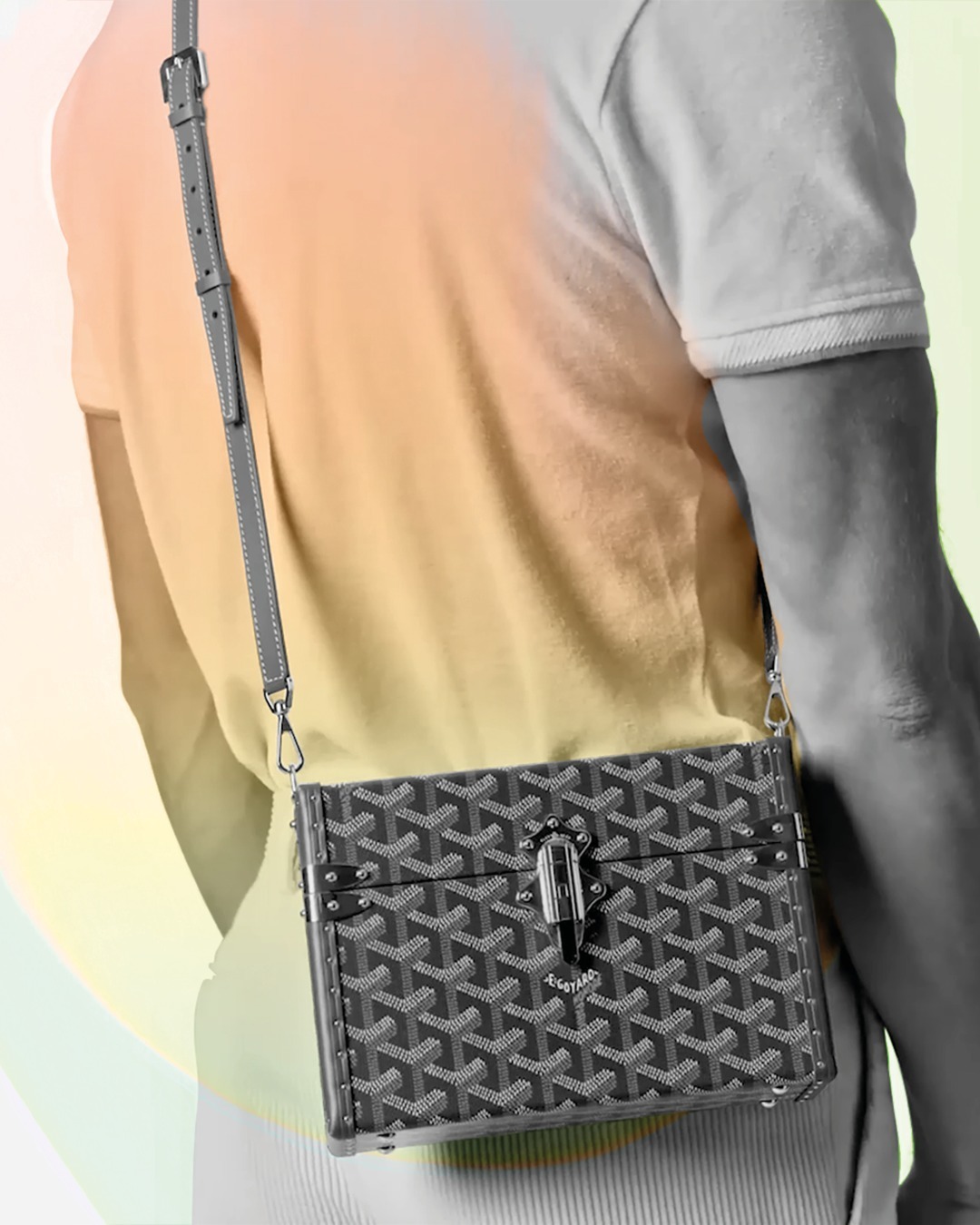 ゴヤール(GOYARD) カセット トランクバッグ｜写真12