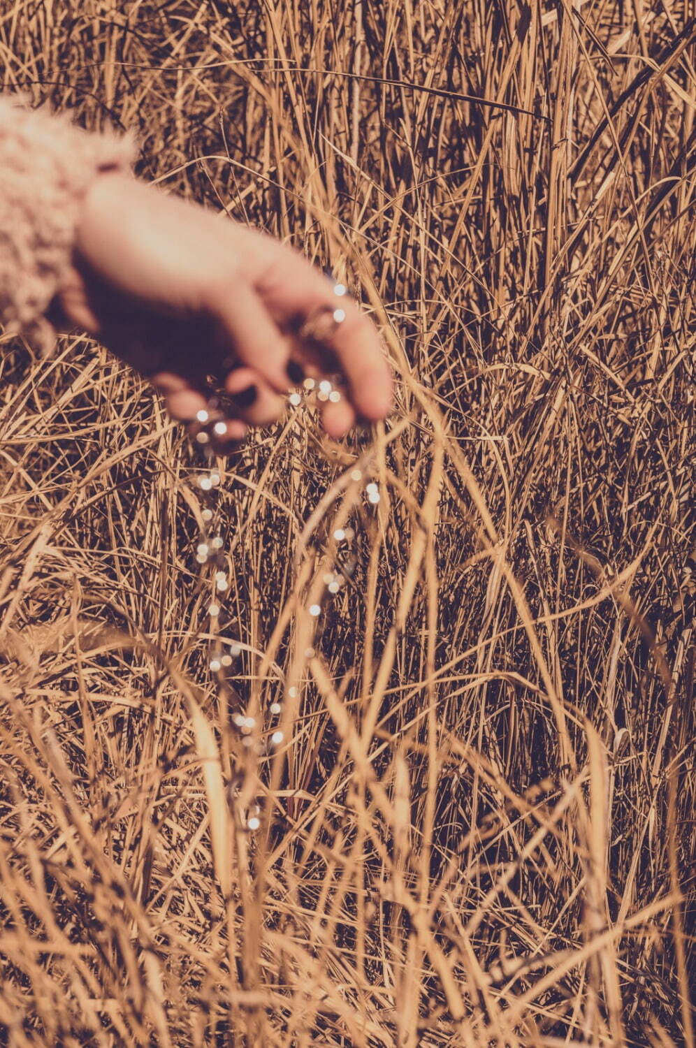 ソワリー(Soierie) 2022-23年秋冬ウィメンズコレクション  - 写真17