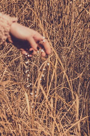 ソワリー(Soierie) 2022-23年秋冬ウィメンズコレクション  - 写真17