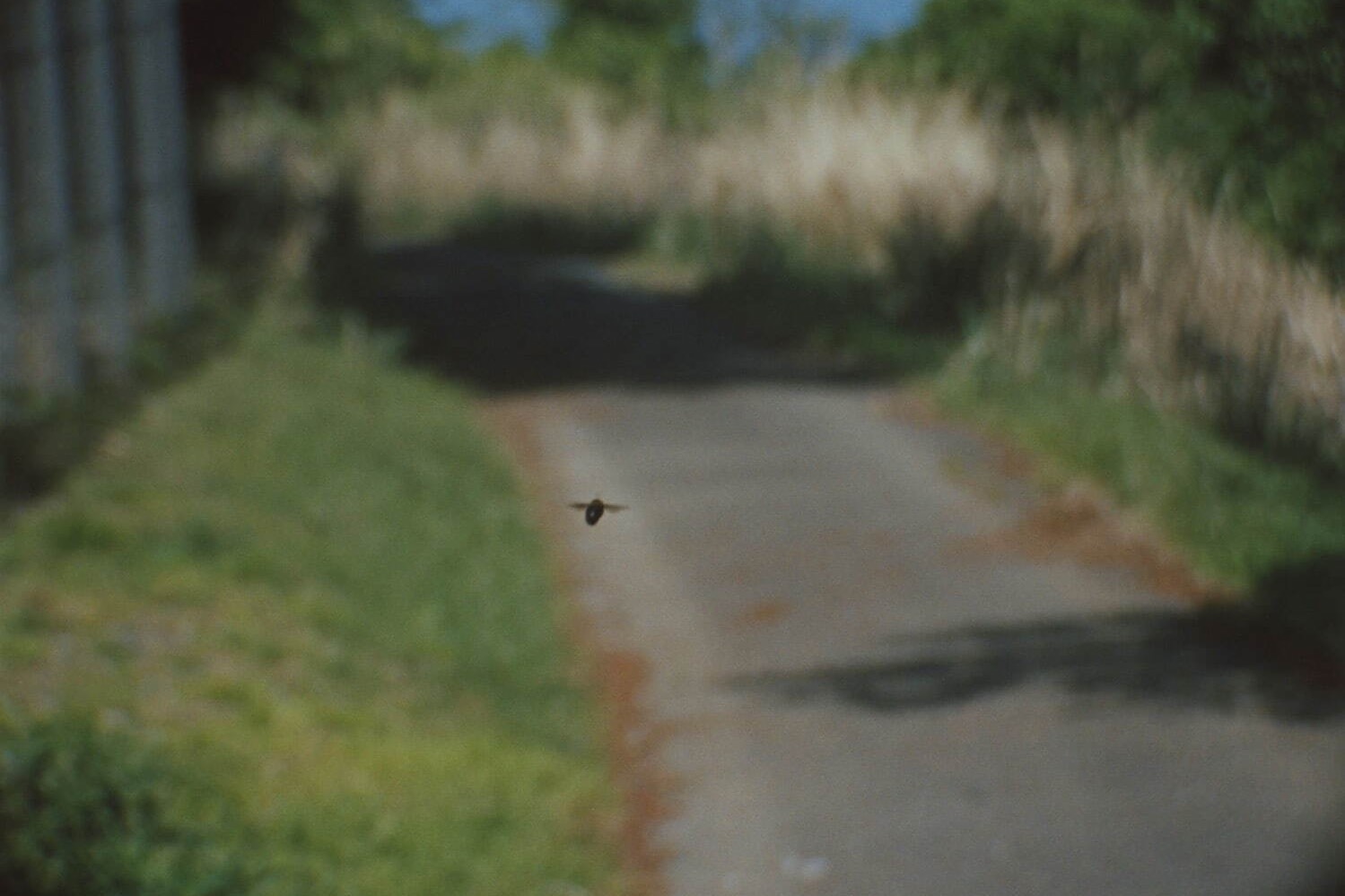美術館｜野口里佳の個展が東京都写真美術館で - 写真・映像の“不思議な力”が見せるもの、代表作や新作を紹介